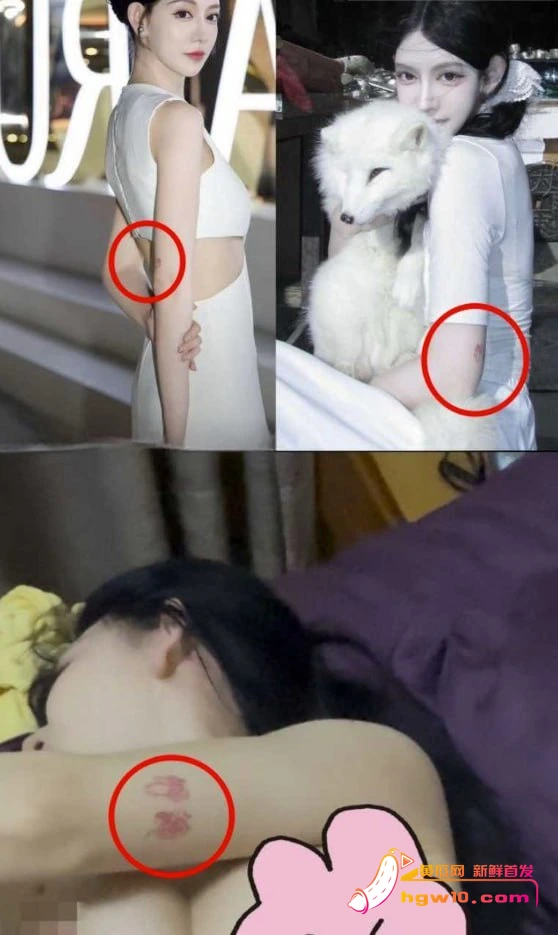 千万粉网红陈安淇欠债落魄,疑下海陪侍且性爱视频流出