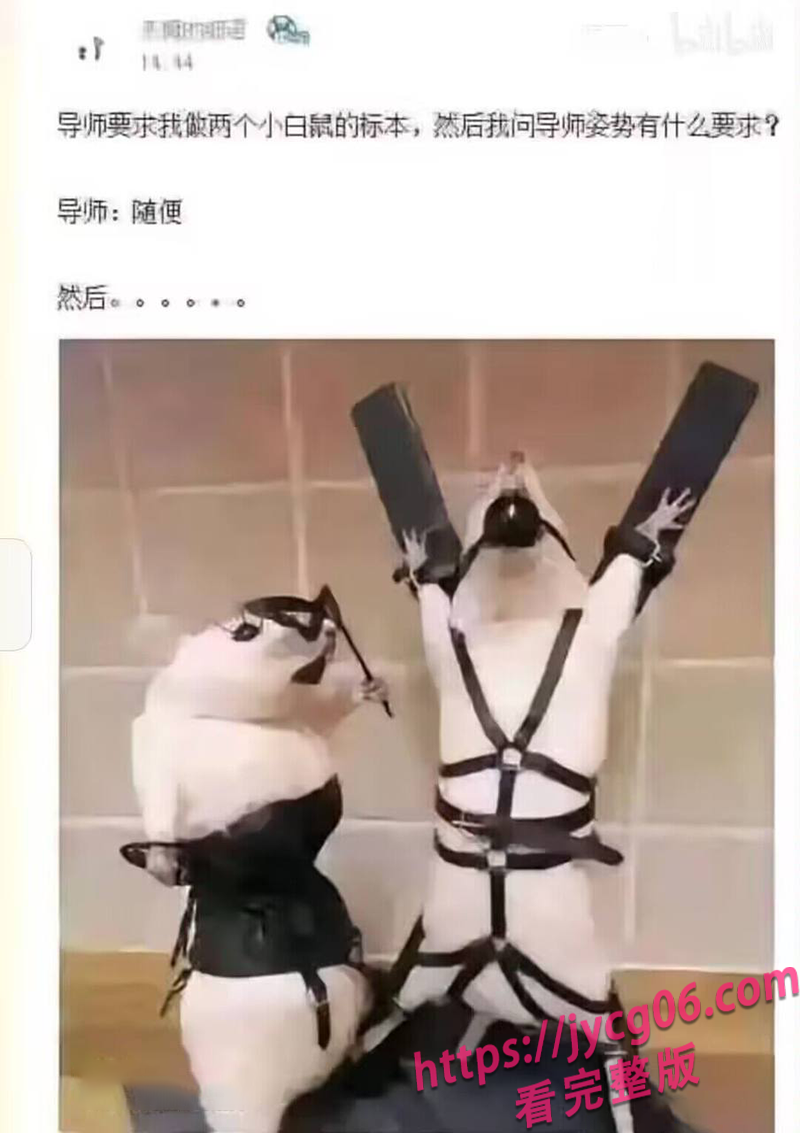每日沙雕图系列！全网沙雕图新鲜速递！笑不活了～ 配图2