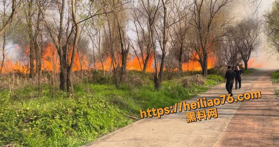 3月14长沙橘子洲头对岸湘江江滩突发大火 烈焰冲天黑烟遮蔽