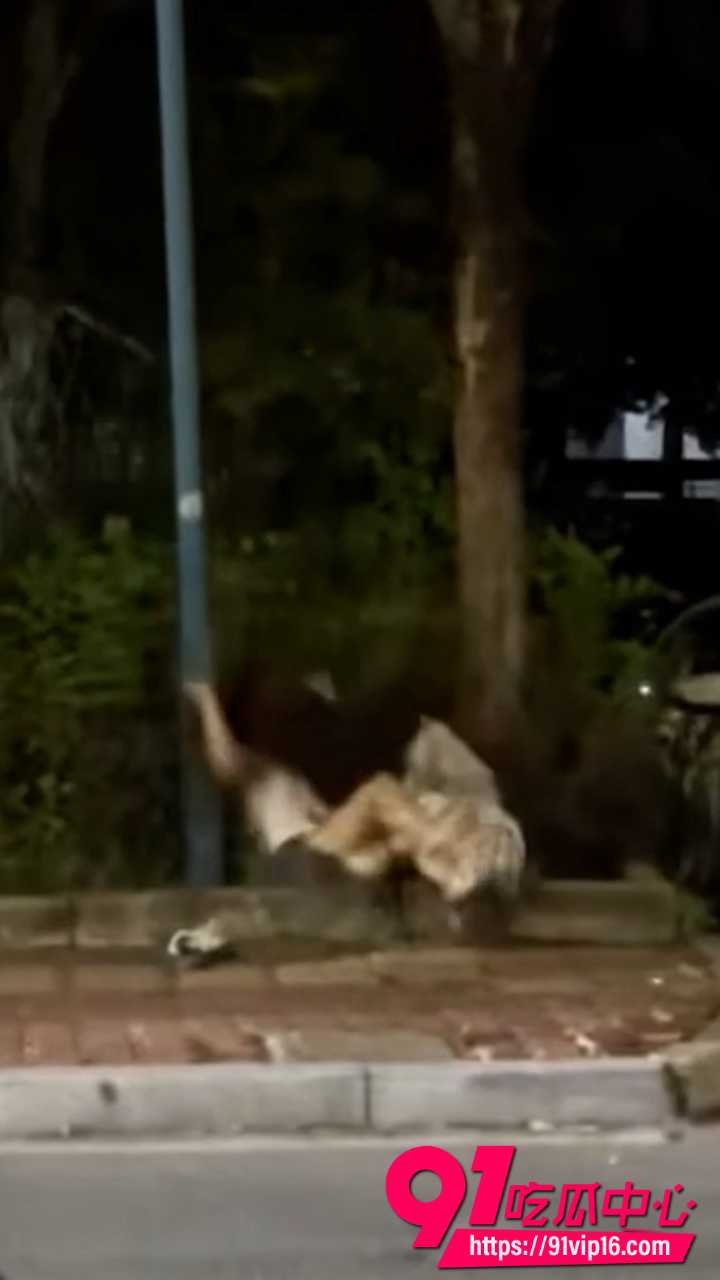 精神小妹打架视频6