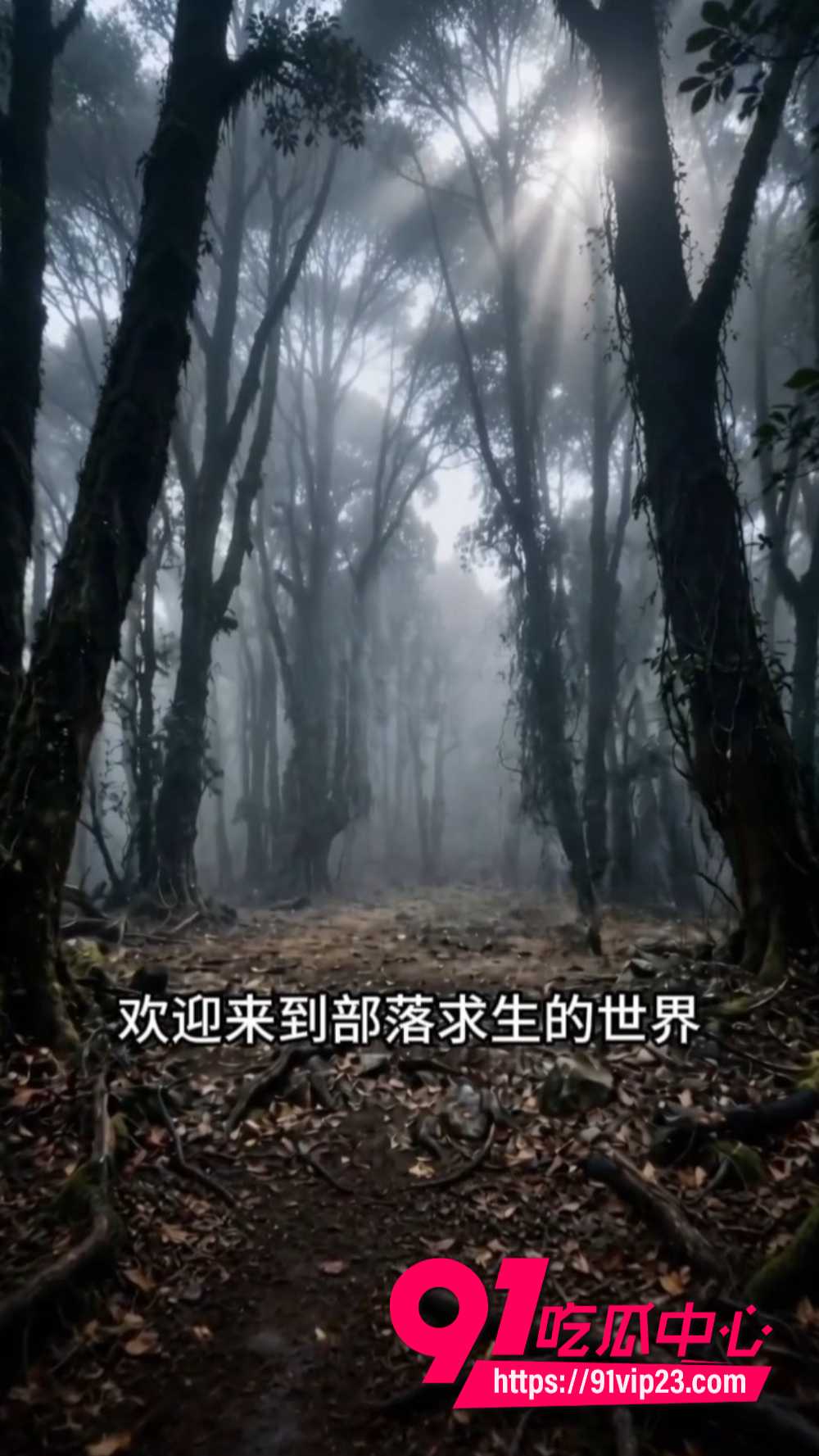 全班穿越就我一男的8 全班穿越就我一男的8