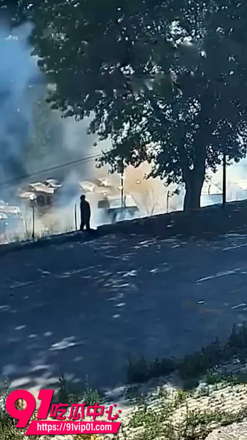 辽宁74岁老人嫌路边杨絮影响健身走步将其点燃导致20辆新能源汽车被烧毁2