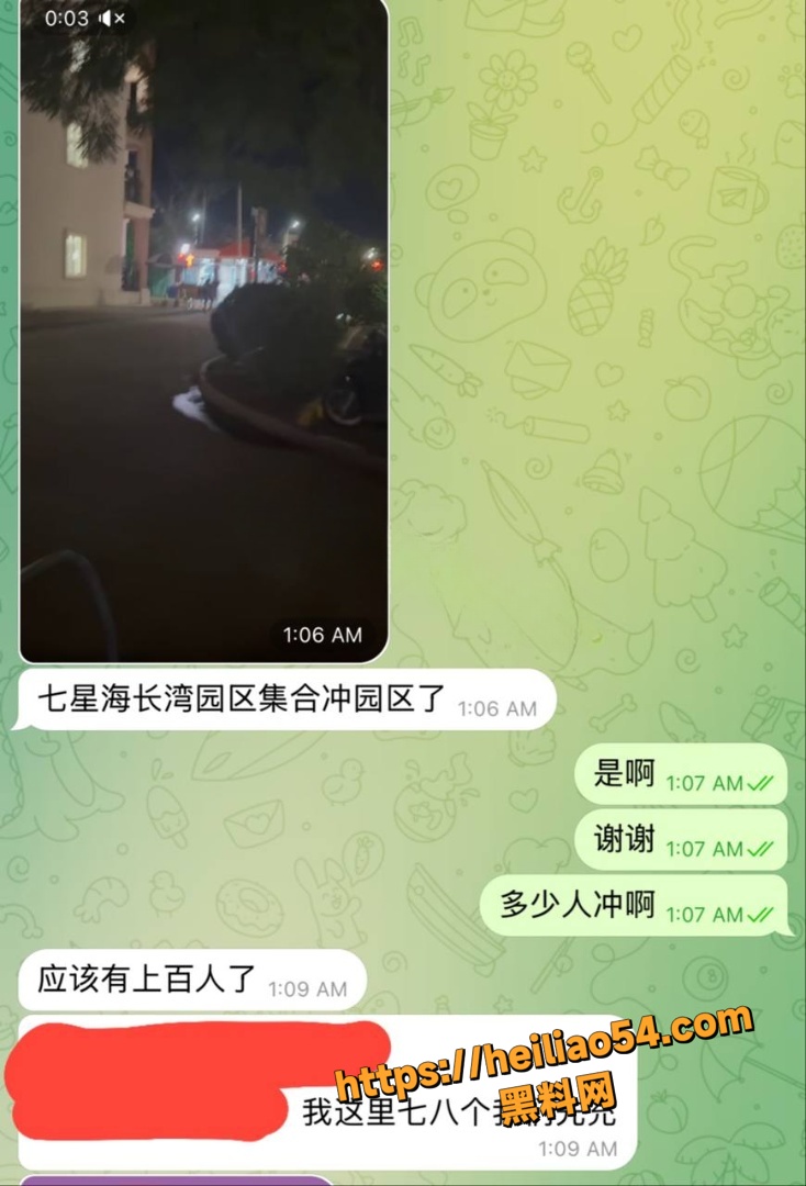 柬埔寨 七星海长湾园区 上百狗推翻墙大逃亡 堪称2026电诈圈开年狂欢