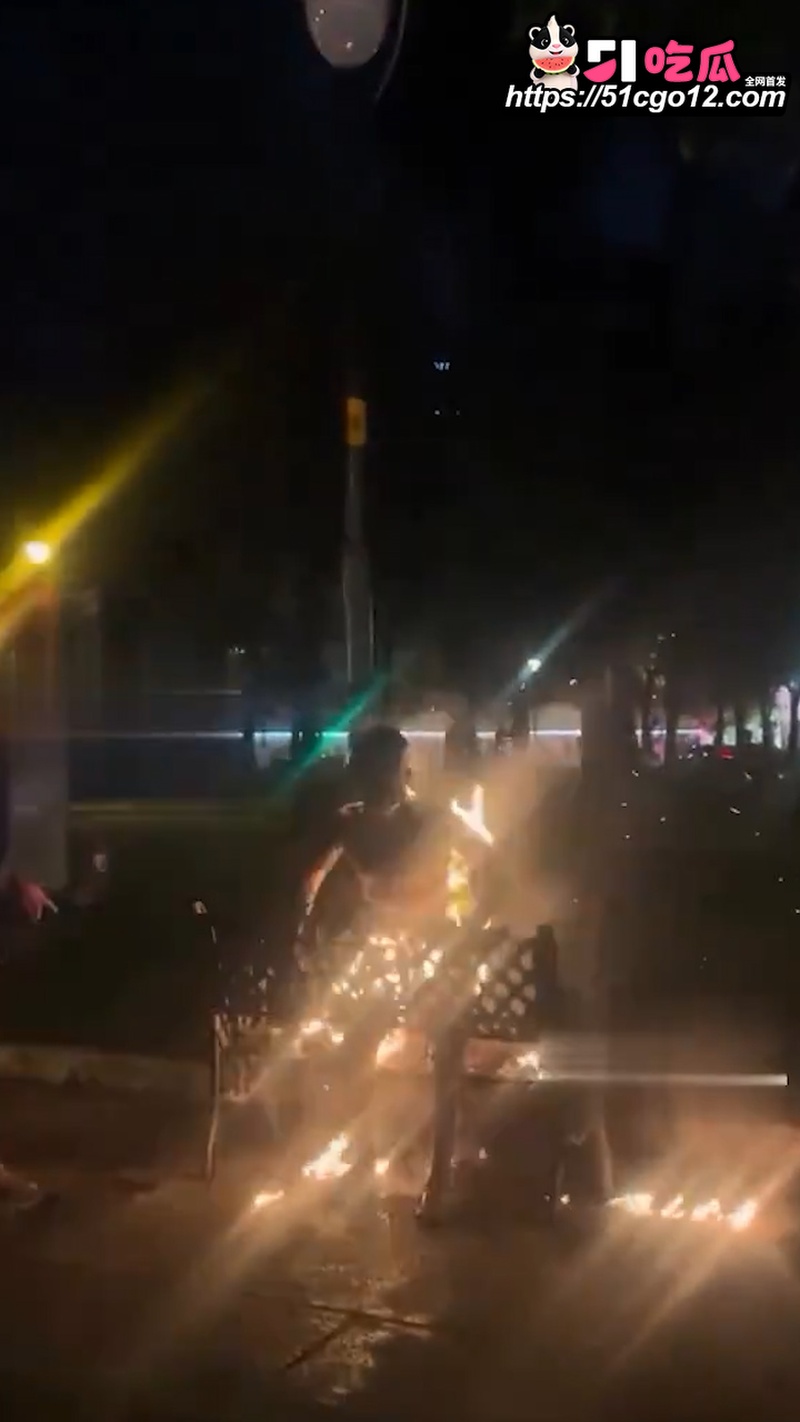 越南圣母大教堂自焚事件 4