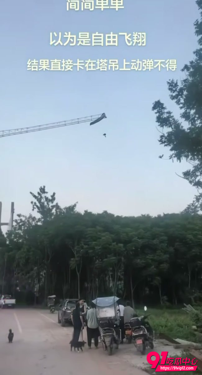 四川南充2