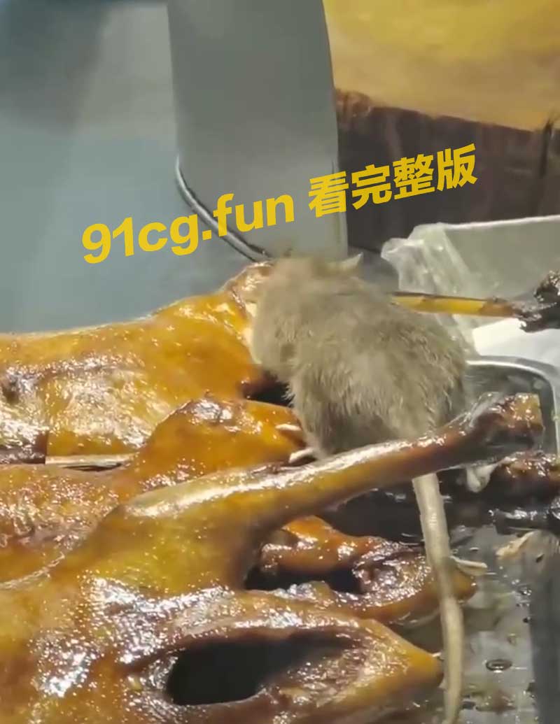 老鼠1.jpg