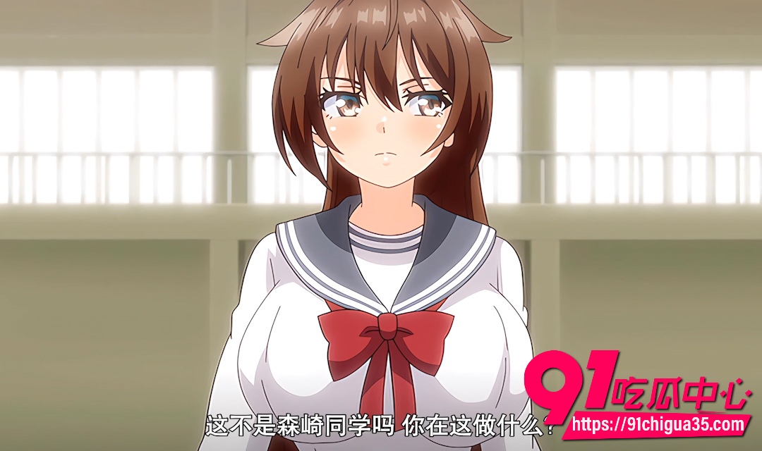 成人里番圣光闪姫波尼塞雷斯4