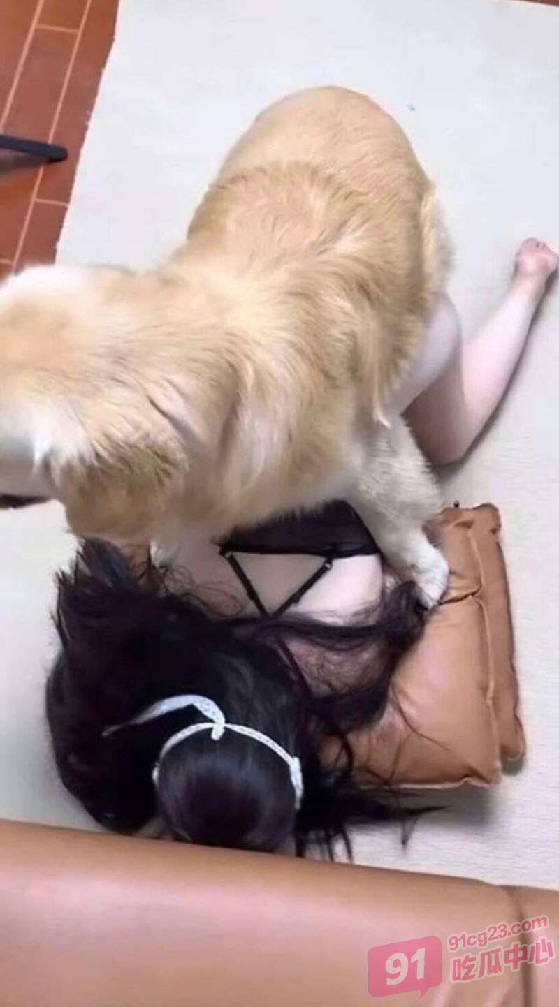 小仙女兽交科普 被狗子内射是什么体验 全过程清晰描述