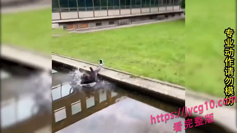 作死名场面合集来袭！每一帧都能笑到你当场断气 配图4