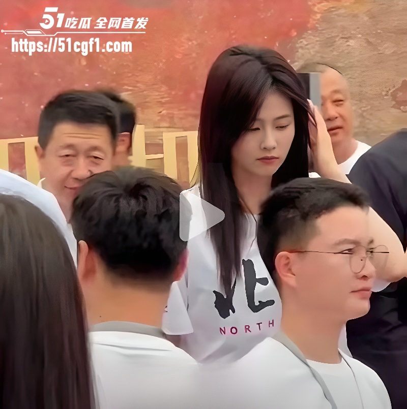 顶流女星 白鹿 与江苏文投董事长王洪俊 11