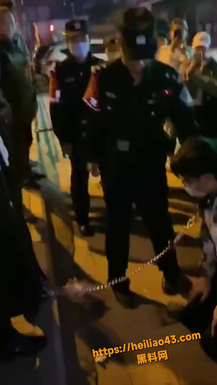女主人当街遛男奴 不料被啊sir发现 对话过程超搞笑 路人视角全程实录