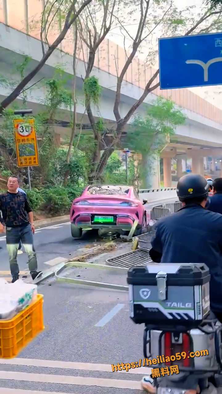 小米汽车绿化带战神合集 护栏毁灭者车祸现场 画面一个比一个离谱