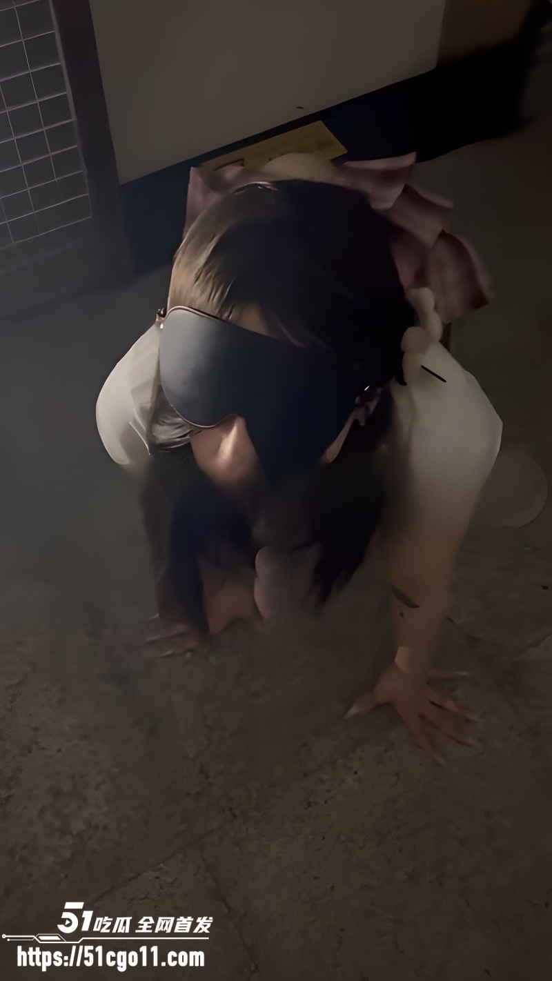 骚浪婊性爱视频  2