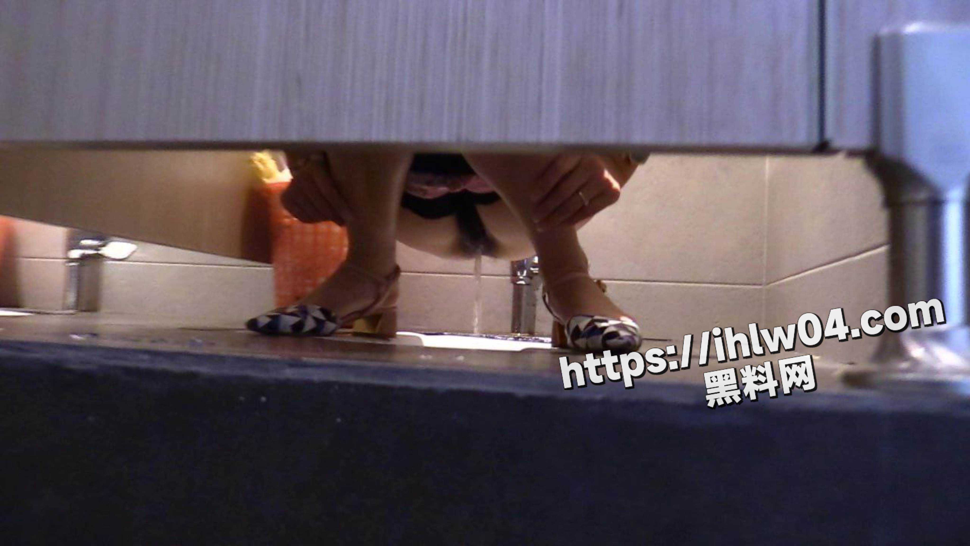 厕所门口看到个气质阿姨 冒着生命危险跟进女厕所偷拍阿姨尿尿和她穴的样子！