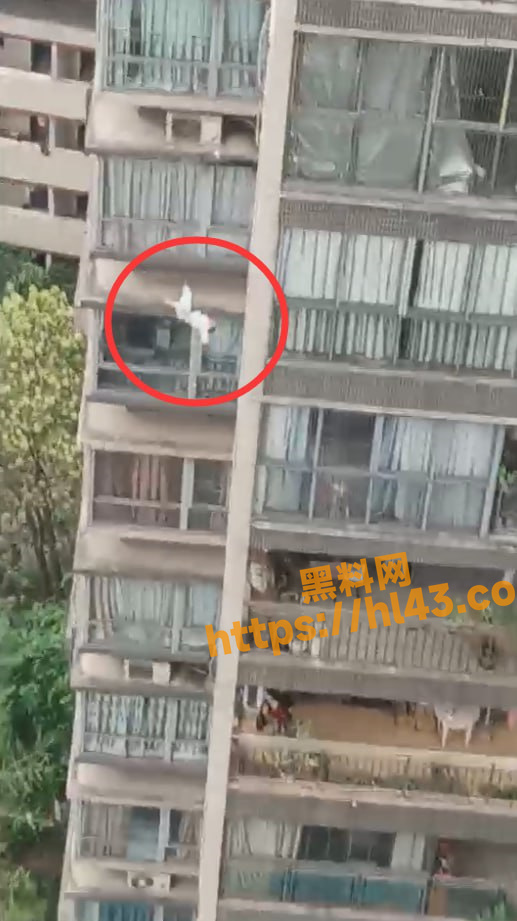 重庆女子砍伤婆婆 22楼扔下子孩事件 对面楼拍下全过程 完整版视频曝光！
