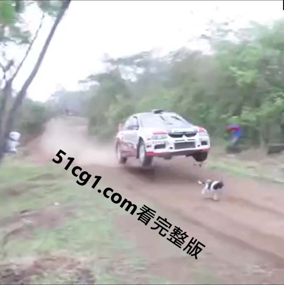 那些命硬的人01.png