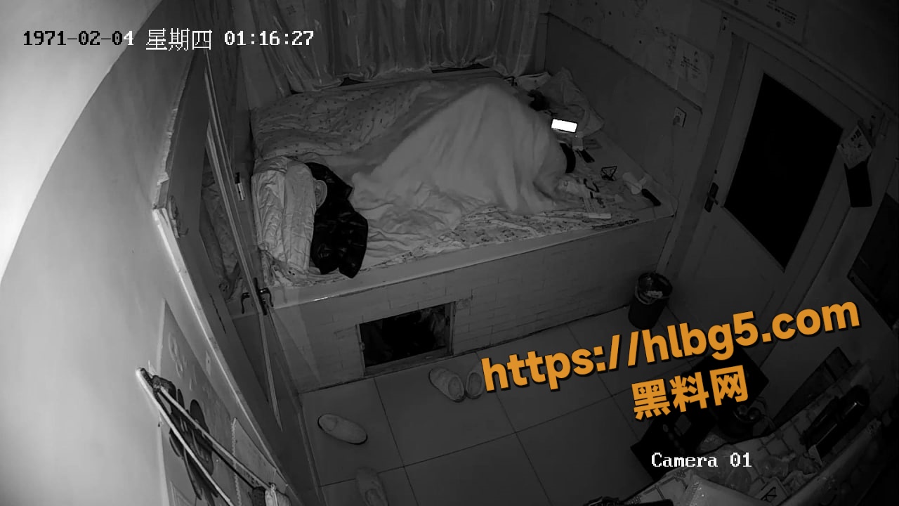 精品推荐 家庭摄像头偷拍性欲旺盛的老哥 半夜睡醒骑草媳妇 一边干还要说脏话增加快感！