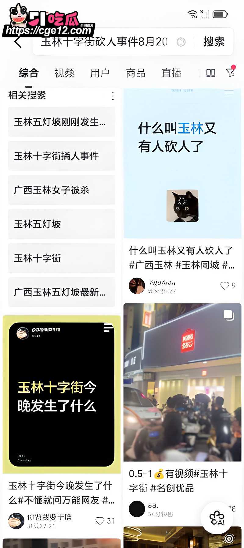广西玉林十字街砍人事件 14 广西玉林十字街砍人事件 14