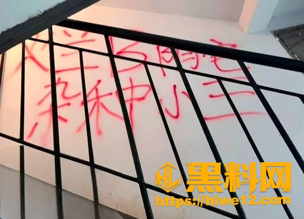 山东德州 乐陵嘉诚黄金水岸小区 出轨抓小三事件 网传暴力冲突 警方已介入处理