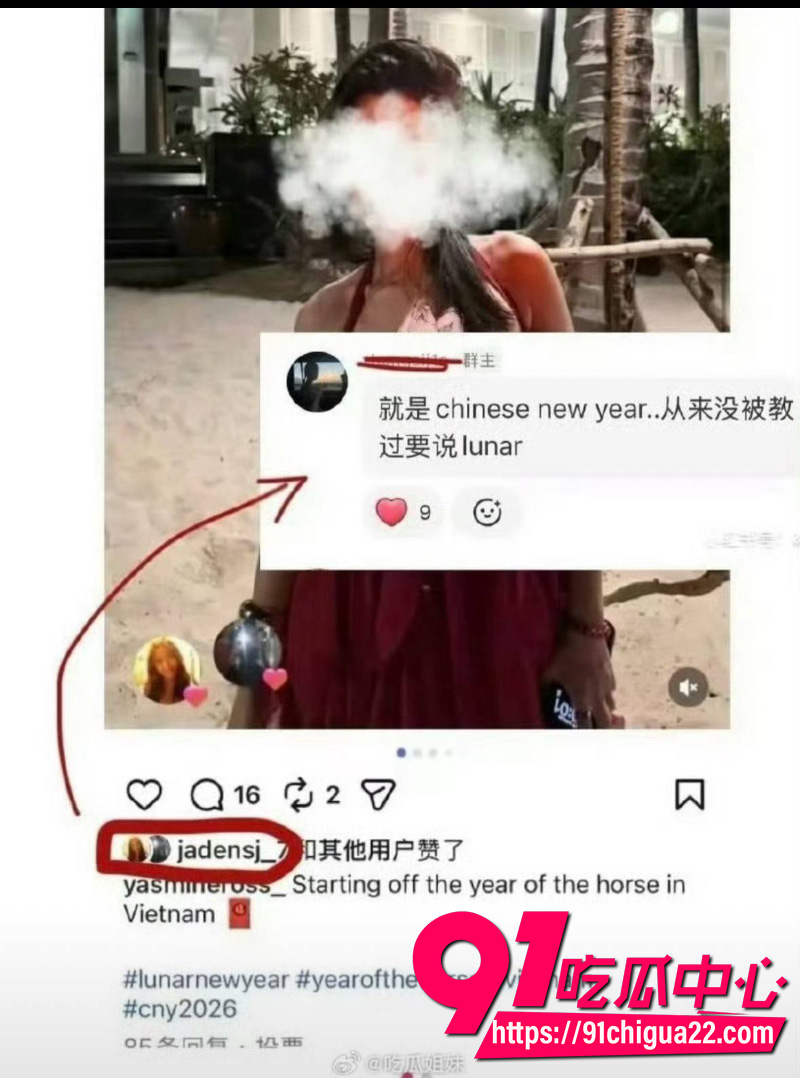 钟丽缇小女儿考拉双标实锤10