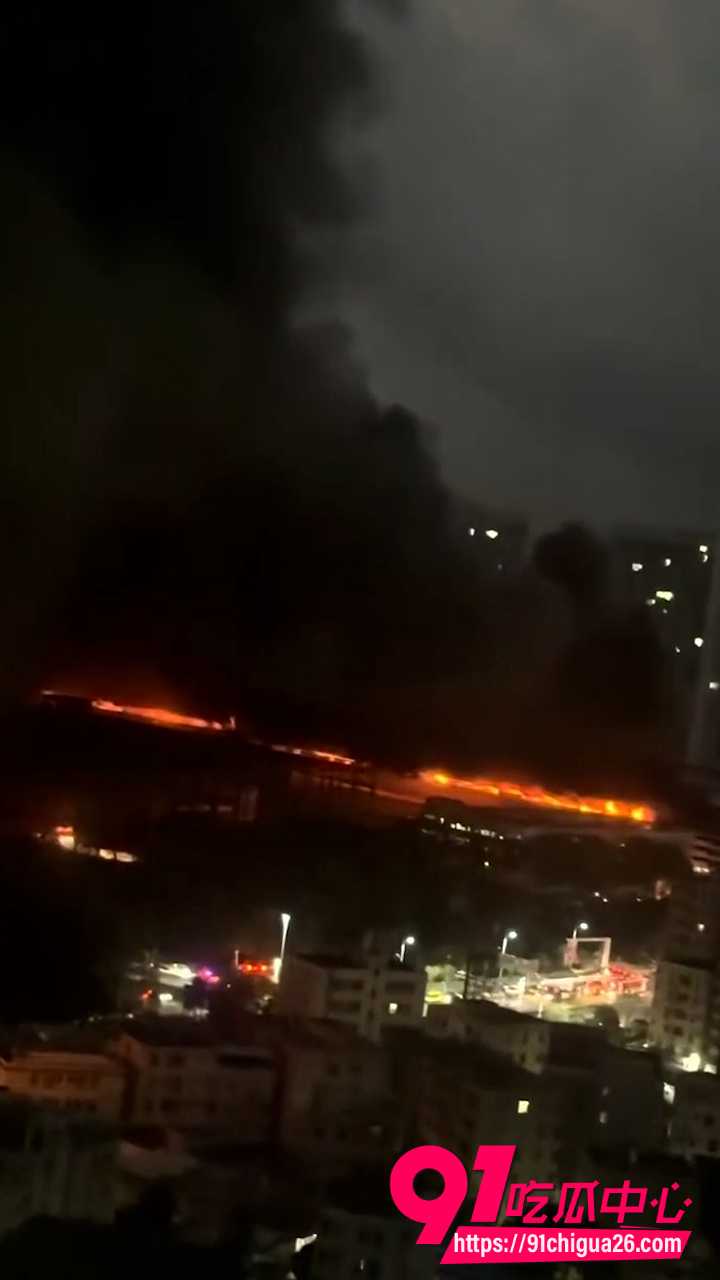 深圳比亚迪1