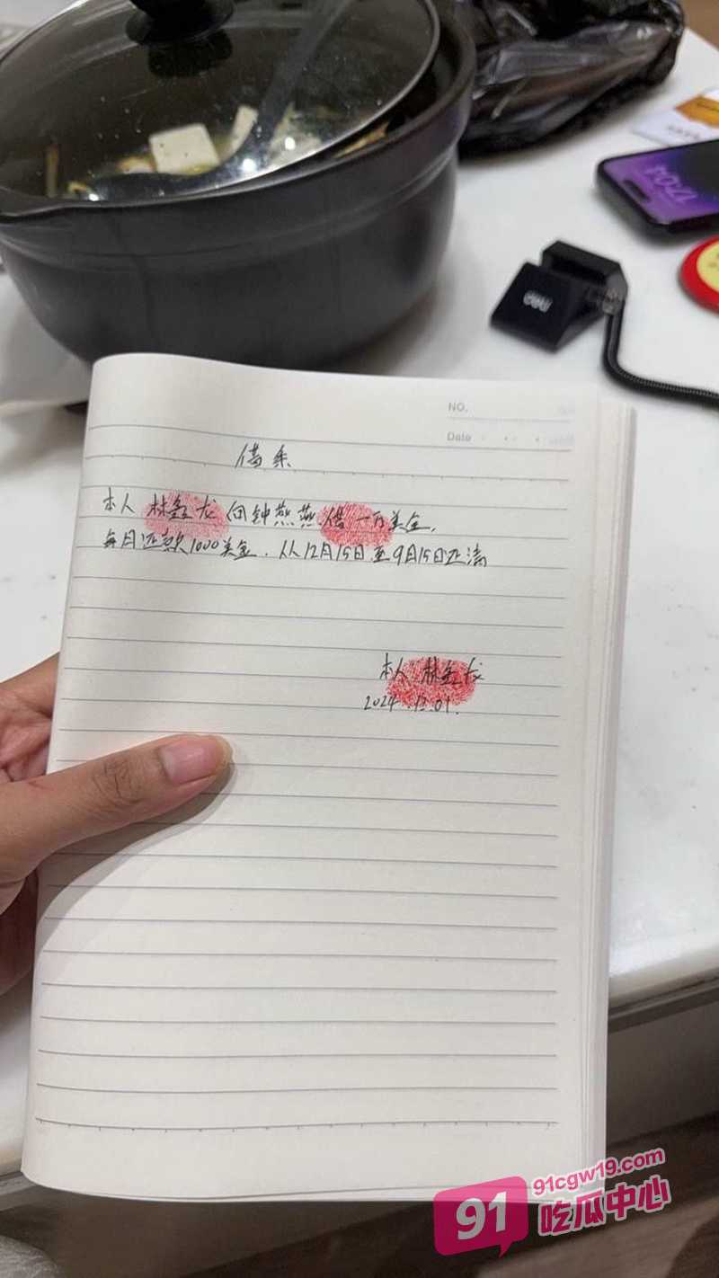 柬埔寨骗财骗色家暴男 林鑫龙 金牌女扶手自爆遇到他差点被打死 配图7
