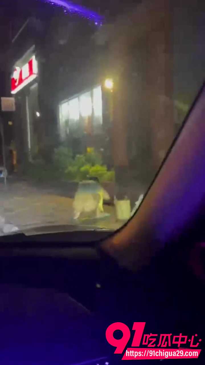 泰华裸女事件4