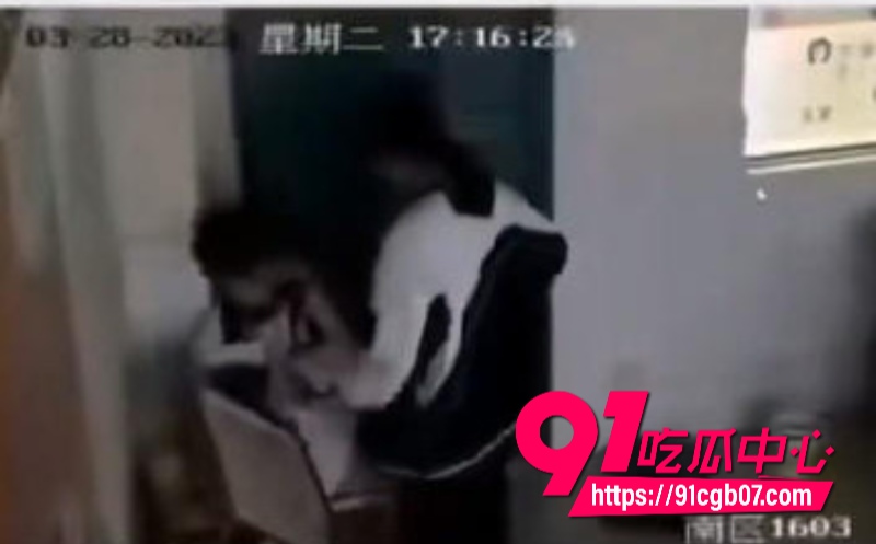 抖音上很火的南区1063教室监控4 抖音上很火的南区1063教室监控4