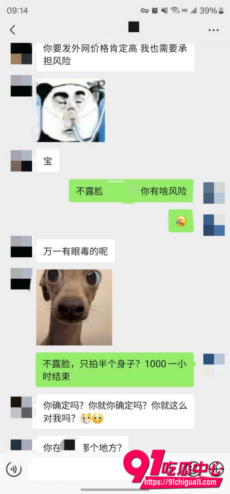 老虎菜42 老虎菜42