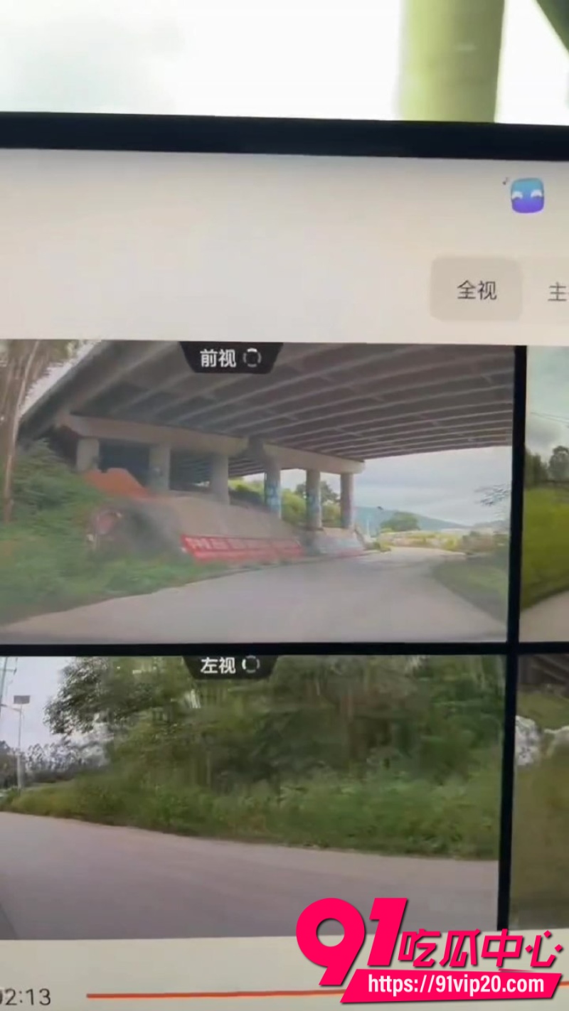 血腥慎入新营分尸案现场画面被行车记录仪拍下曝光3 血腥慎入新营分尸案现场画面被行车记录仪拍下曝光3