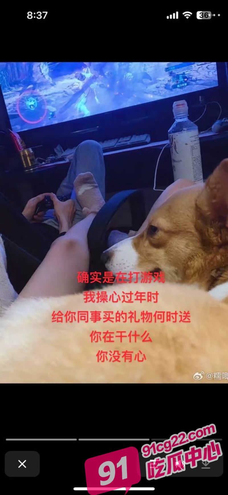 13_W_800px.jpg