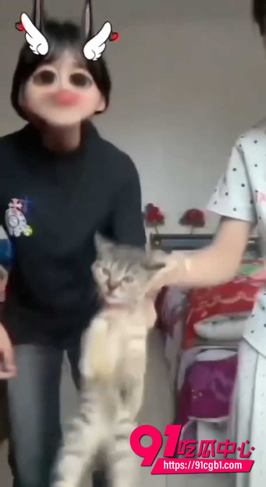 快手女生虐猫视频  4