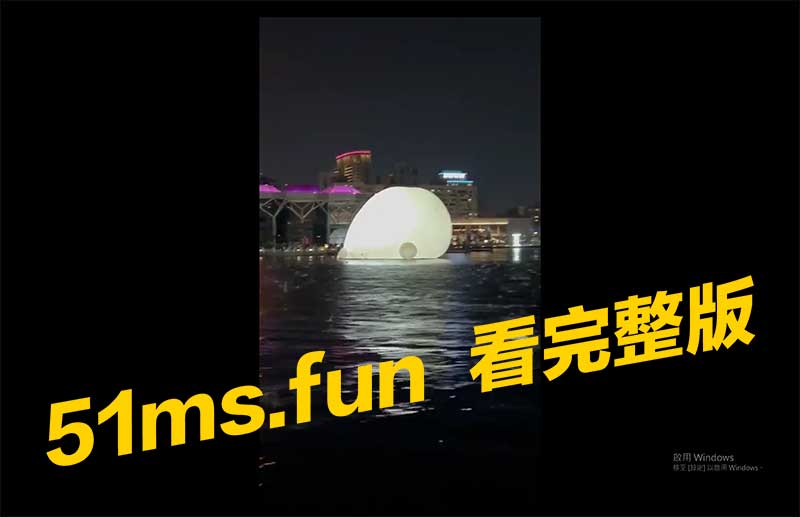 天哪!爱河鱼全部跳起来了