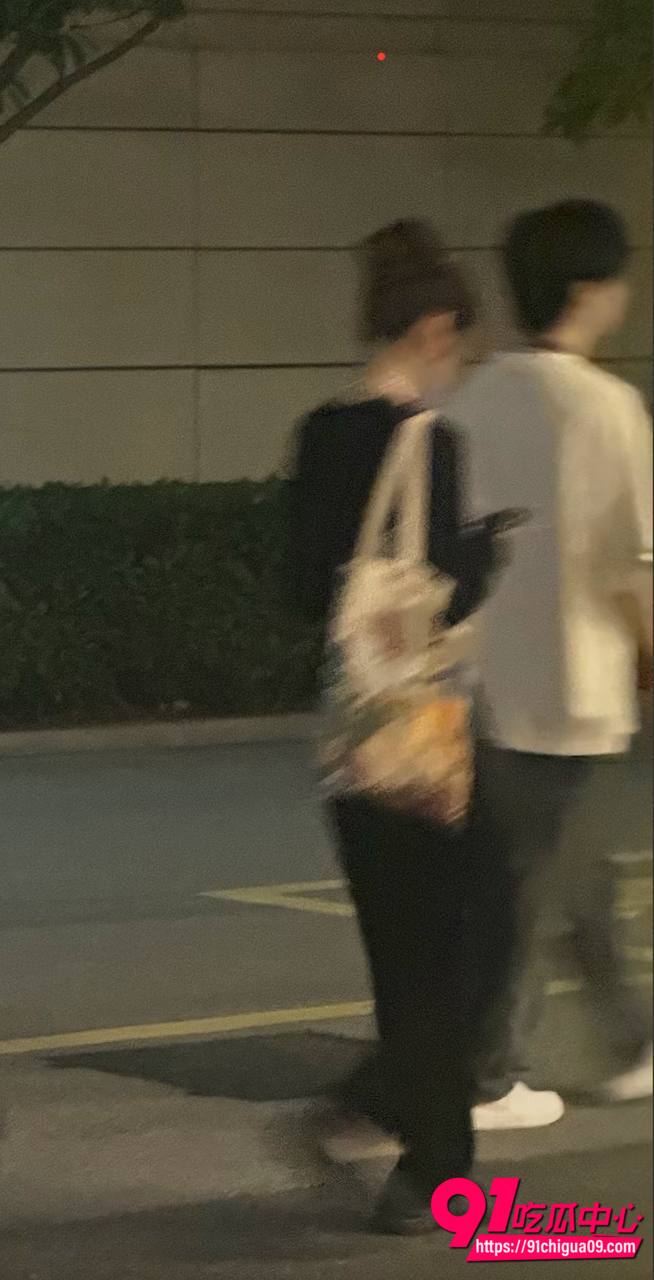 潇潇与不惑恋爱期间出轨487开房14