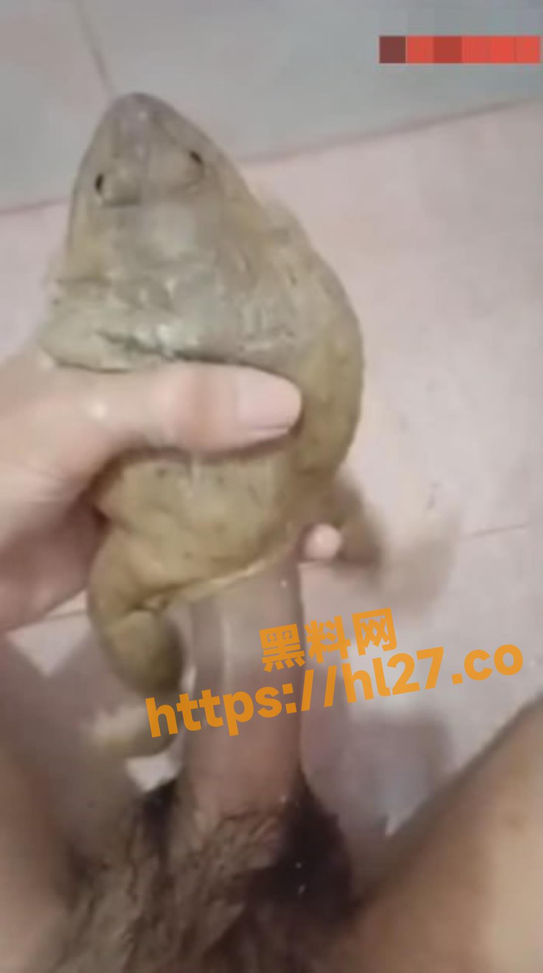 猎奇人兽 啊这... 蛤蟆也能插？ 重口慎入