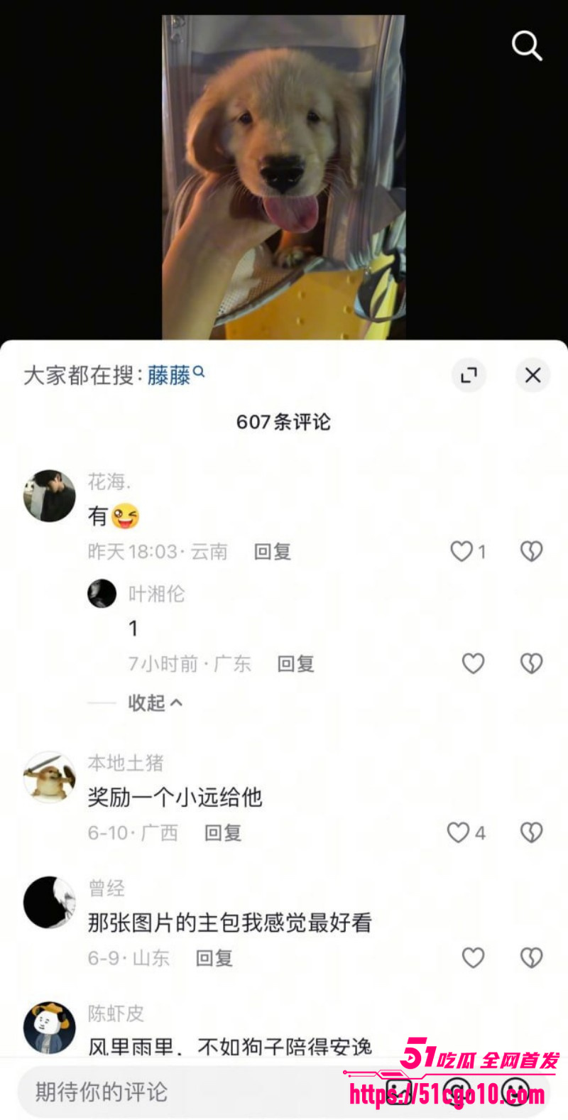 抖音网红 藤藤菜   涉嫌色情遭封号 3