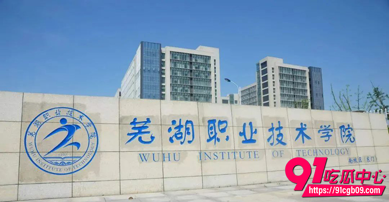 11安徽芜湖职业技术学院 1 11安徽芜湖职业技术学院 1
