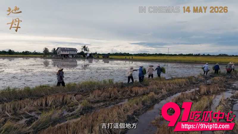 AI换脸女明星范冰冰1