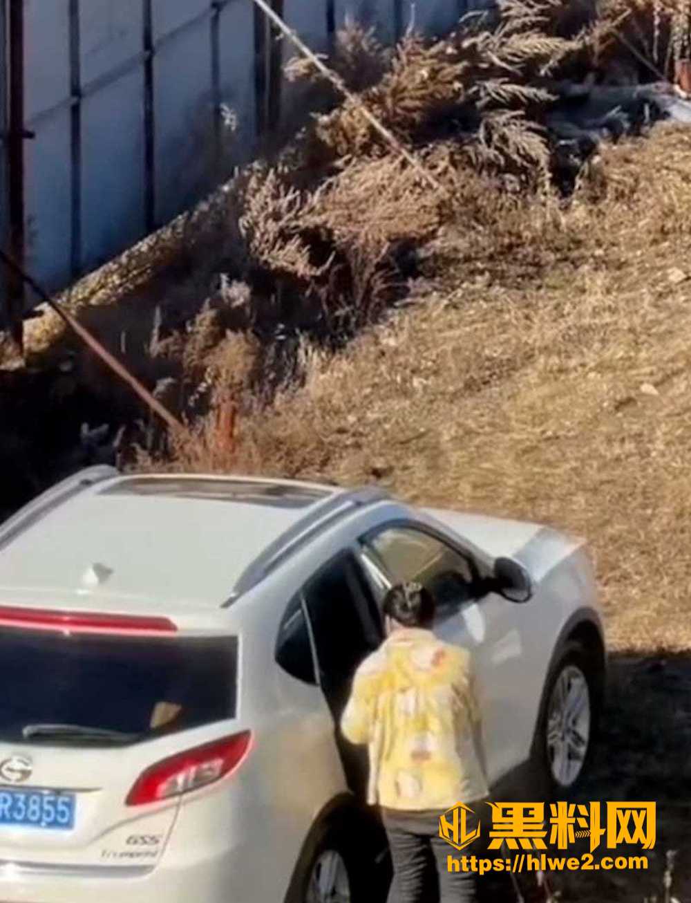 辽宁源吉小伙恋上老阿姨 不想开房追求刺激 在野外激情车震被路人拍下