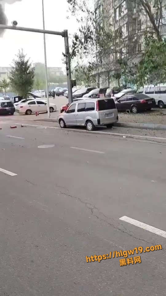 辽宁丹东元宝区金山大道 公交车起火 冒出大量黑色浓烟 乘客逃生惨剧曝光！