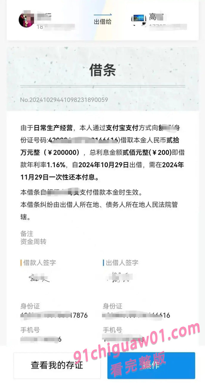 借款支付宝