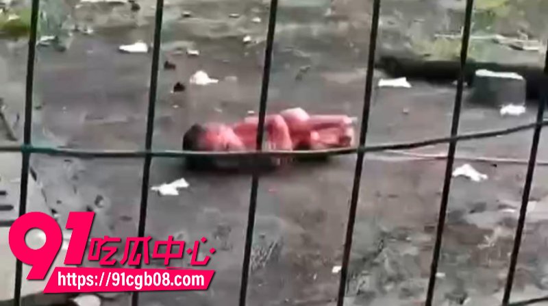 江宁高职6号楼5楼发现弃婴6