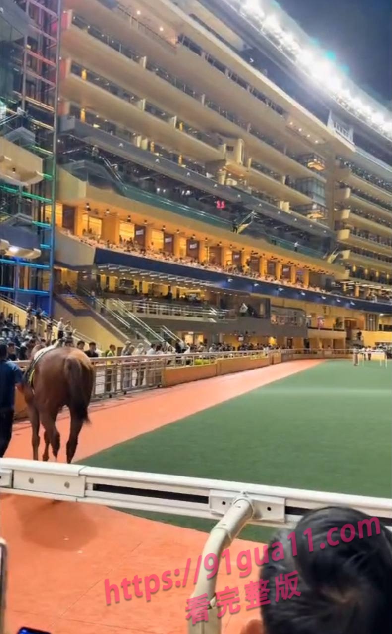香港赛马会发生重大踩踏事故 现场视频曝光触目惊心!