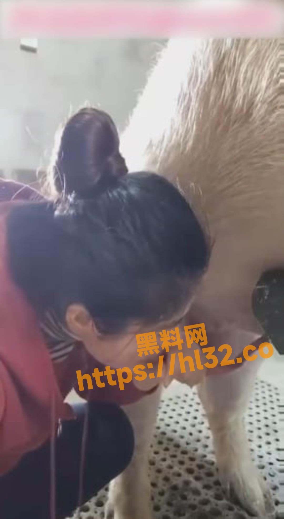淫荡少妇听说精液美容养颜后直接就用口给猪取精？！取精的方式果然异于常人！
