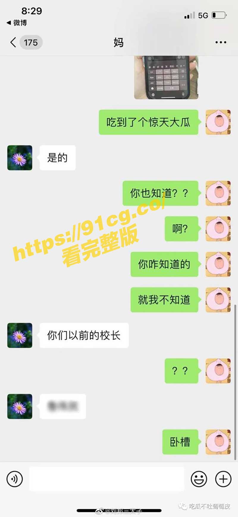 新瓜2.jpg