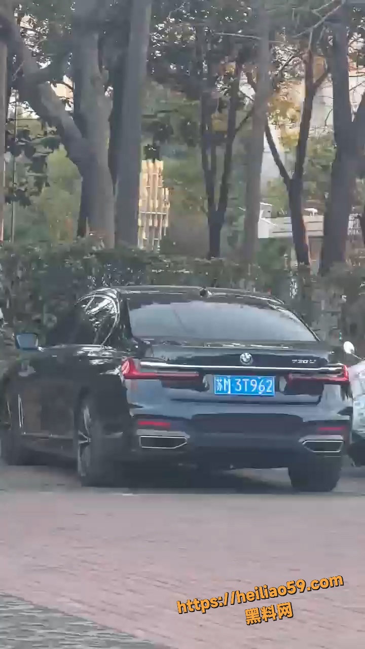苏州街头名场面 苏M3T962宝马车主 路边嫖娼玩车震 完事后直接让妹子提裤子走人