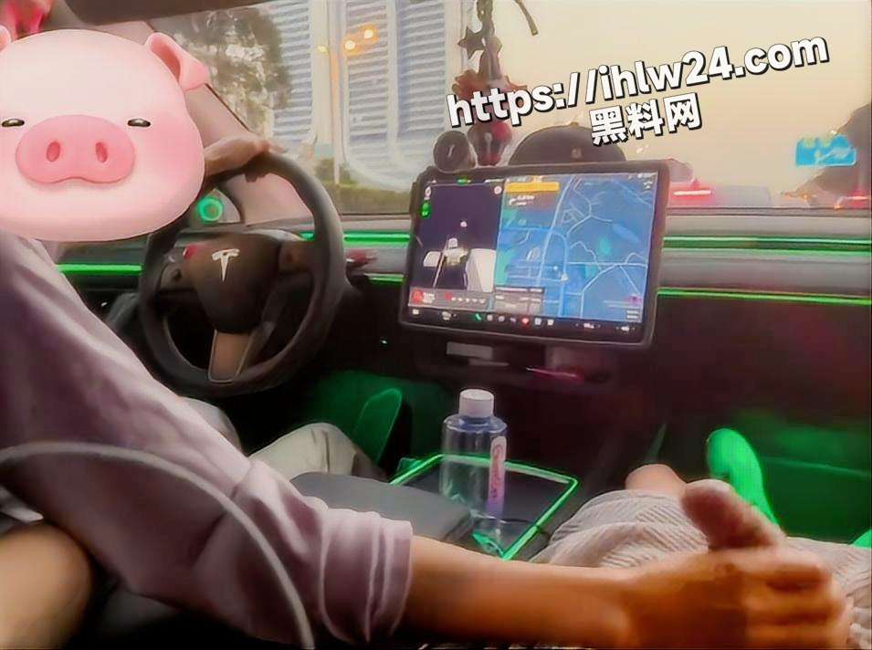 尊贵的特斯拉车主已为您开启自动驾驶 请尽情享受打飞机和吃鸡的快乐！