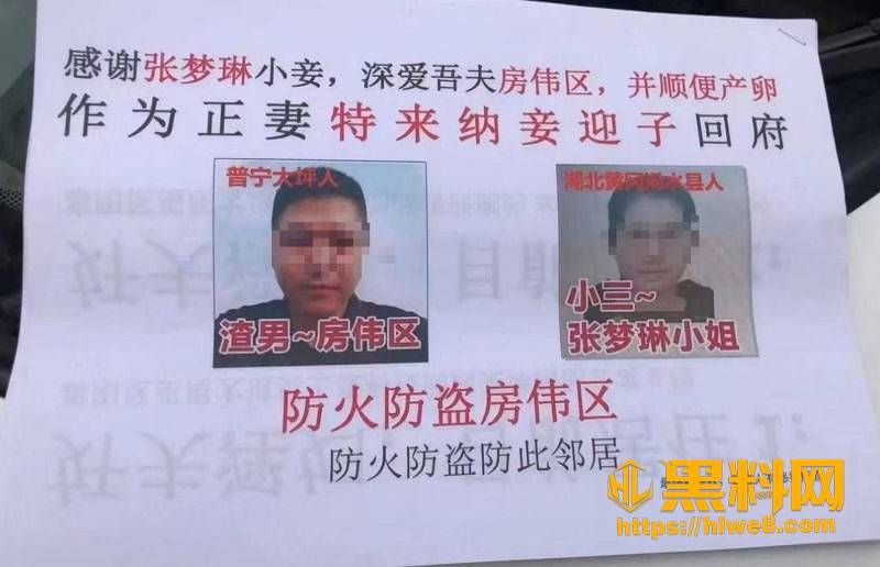 湖北黄冈一位正室教科书式怒撕小三 张梦琳 小区门口挂巨幅海报公开处刑