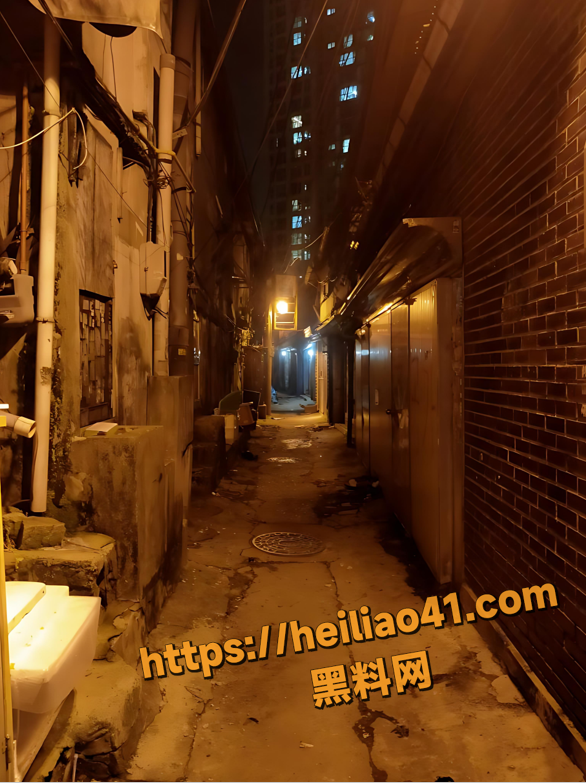 海外风俗报告 夜探韩国首尔东小门街 揭秘风俗街妹子服务过程 攻略超详细！