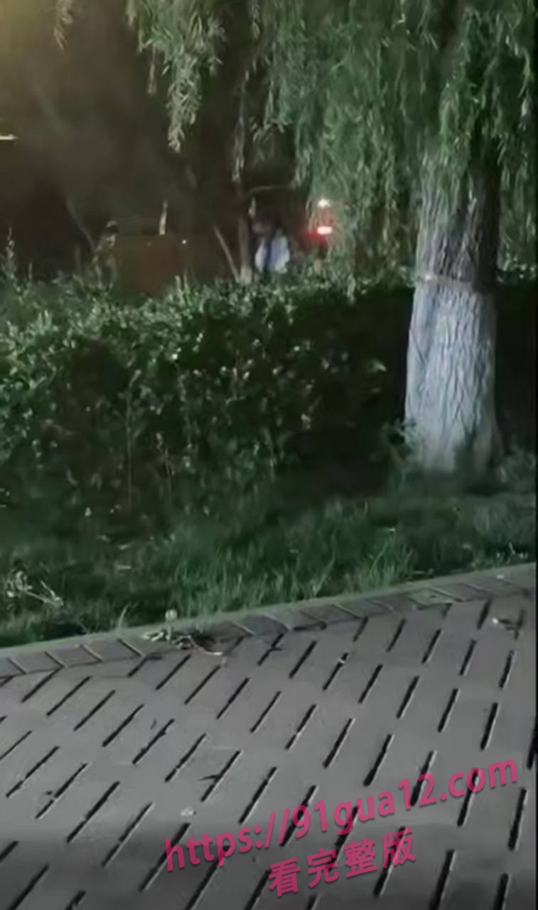 山东东营1